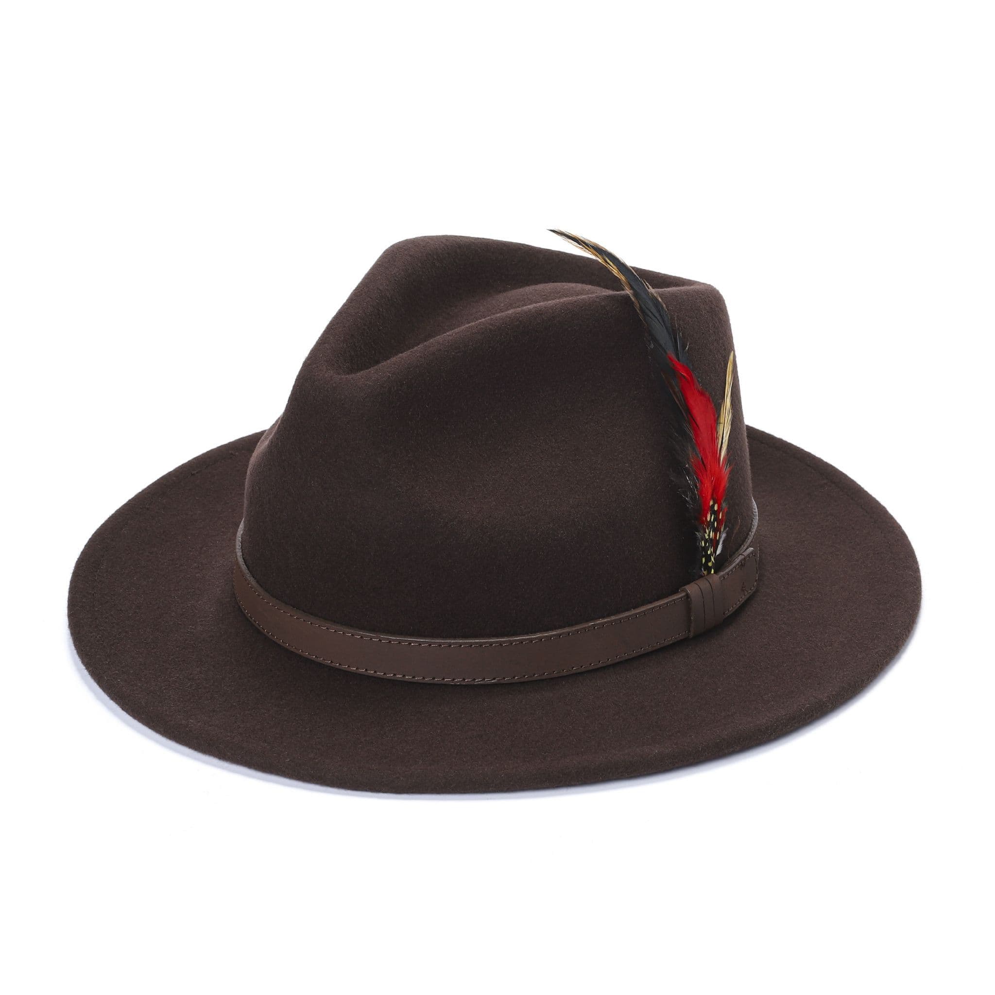 Brown  fedora hat